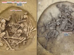 Ossos antigos revelam rituais de vitória interessantes após as primeiras guerras na Europa