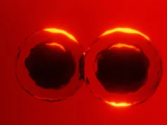 Os livros didáticos foram desafiados por novas descobertas sobre como as células se dividem