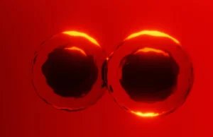 Os livros didáticos foram desafiados por novas descobertas sobre como as células se dividem