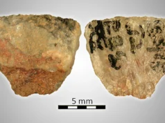 60.000 anos atrás, os humanos já usavam flechas envenenadas