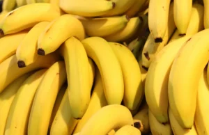 Metais tóxicos encontrados em bananas após desastre de mineração no Brasil