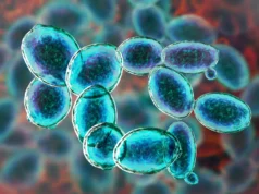 Este minúsculo organismo recusou-se a morrer em condições semelhantes às de Marte