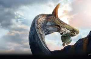 Um Spinosaurus gigante com crista de lâmina, o “Hell Heron”, descoberto no Saara