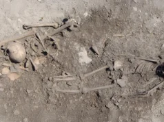 DNA antigo resolve mistério funerário de 5.500 anos na Suécia