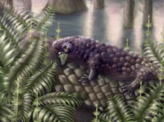 Este antigo animal comeu plantas pela primeira vez em terra