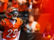 Ex-Bengalas explicam por que se juntaram a Lou Anarumo nos Colts