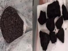 Dos jeans encharcados de cocaína de Pablo Escobar… ao carvão falso: como os cartéis estão usando química avançada para fabricar drogas que os cães farejadores não conseguem detectar