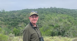 A peste dos coelhos da China pode exterminar 90 por cento da população selvagem do Reino Unido, diz especialista