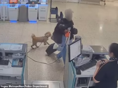 Mandado de prisão emitido para mulher que largou goldendoodle no aeroporto de Las Vegas porque não podia voar com ele