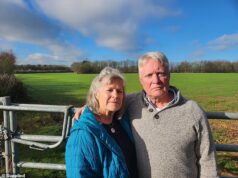 Aldeões de um pequeno vilarejo com apenas 10 casas e um pub temem que sua casa possa se tornar uma ‘ilha cercada por um mar de painéis solares’