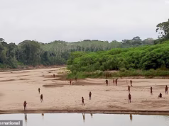 A verdade sobre o vídeo viral incomum de uma tribo amazônica isolada empunhando lanças saindo da selva. Eu estava lá… Aqui está o que realmente aconteceu e os resultados devastadores um ano depois