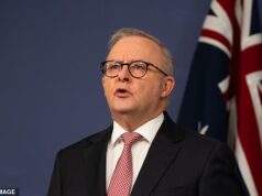 Duas semanas depois de Angus Taylor ter assumido as rédeas da Coligação, novas sondagens deverão provocar arrepios na espinha de Anthony Albanese.