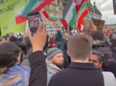 Vice-líder do Partido Verde junta-se a protestos pró-Teerã