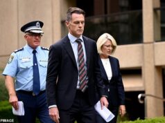 O primeiro-ministro de NSW, Chris Minnes, revela planos bombásticos para abandonar a política: ‘Não estarei aqui’