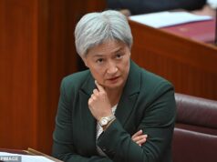 Como Penny Wong acabou de colocar Pauline Hanson em grandes apuros – antes que o líder da One Nation morda