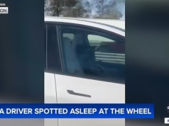 Motorista tira uma soneca à tarde ao volante de um Tesla autônomo enquanto ele percorre uma rodovia na Califórnia