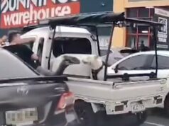 ‘Low Life Stranger’ acusado após ato horrível fora de Bunnings capturado pela câmera