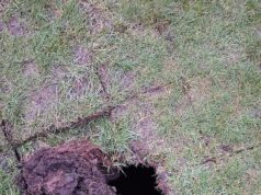 ‘Sinkhole’ aparece sob o buraco 13 do campo de golfe do Reino Unido – e o goleiro não consegue acreditar no que vê quando vê o que realmente está sob o green