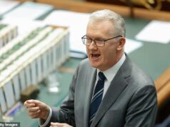 Momento dramático Projeto de lei do bloco trabalhista proíbe terceiros de ajudar noivas do ISIS – enquanto Tony Burke critica a legislação proposta como ‘sinistra’