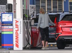 As tensões aumentam nos postos de gasolina em toda a Austrália, à medida que os motoristas fazem fila para se enfrentarem antes dos aumentos de preços – enquanto o chefe climático de Albo pede calma