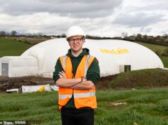 Abacates britânicos… no inverno? Eco-agricultores revelam planos para cultivar frutas exóticas em solo doméstico durante todo o ano