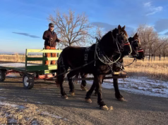 O McDonald’s diz que os fazendeiros que trabalham com cavalos e carroças agora podem usar seu drive-thru depois que os fazendeiros trabalhadores do Wyoming foram banidos