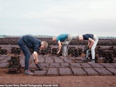 Publicado: Fotos impressionantes nomeadas finalistas do Sony World Photography Awards