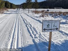 Menina de 4 anos morre em acidente de trenó enquanto é puxada pela neve por um adulto