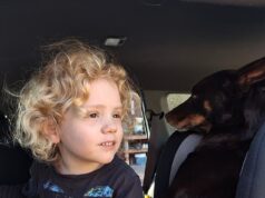 Comentários ameaçadores do principal policial ao revelar que os dois parentes de Gus Lamont ‘não estão mais cooperando’ com os policiais