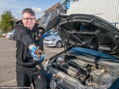 Então os esquilos escondem suas nozes! Motoristas confusos descobrem que problemas de motor são ratos cheios de bolotas em seus carros