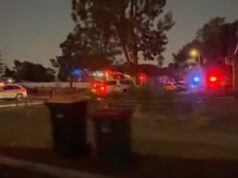 A polícia lançou uma investigação urgente depois que o corpo do bebê foi encontrado na casa de Elizabeth Downs, Adelaide