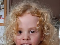 Os advogados dos avós de Gus Lamont respondem às reclamações da polícia enquanto a busca por seu filho desaparecido continua