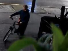 O ‘ladrão’ fumante do momento invade um BMW de £ 50.000, rouba bolsa Louis Vuitton e protetor labial – antes que a vítima o rastreie e o persiga a pé