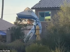 O pequeno avião caiu no quintal de uma casa em Phoenix, ferindo três pessoas