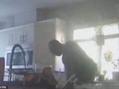 Ladrão do ‘Homem-Aranha do Inferno’ aterroriza cidade do Texas entrando furtivamente nas casas através de portas caninas e janelas minúsculas