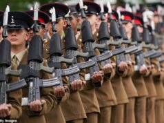 Comentários do Mail on Sunday: Elimine todos os comissários vigilantes e construa um exército do qual se orgulhar