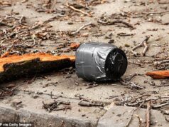 Seis presos após ‘bomba de pregos caseira’ lançada na casa do prefeito de Nova York