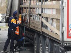 A Bélgica está a tornar-se um narco-Estado, com crimes relacionados com drogas tão graves que agora ameaçam a estabilidade social, adverte juiz superior