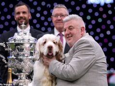 O homem que ganhou o prêmio Crufts de ‘Best in Show’ com seu Clumber Spaniel Bruin foi considerado culpado de crueldade contra animais depois de deixar o cachorro em condições ‘horríveis’