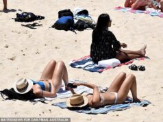 Australianos criticam plano de ‘ganhar dinheiro’ para cobrar dos visitantes para estacionar na popular praia de Sydney: ‘Que vergonha’