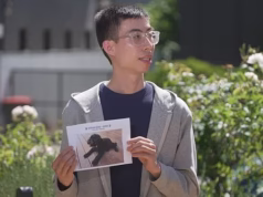 Família com o coração partido depois que a adorável cachorrinha Cavoodle Dora é roubada do lado de fora de um shopping center – três jovens caçadas pela polícia