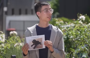 Família com o coração partido depois que a adorável cachorrinha Cavoodle Dora é roubada do lado de fora de um shopping center – três jovens caçadas pela polícia