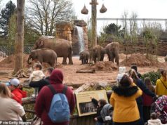 A principal atração turística da Grã-Bretanha ataca aplicativos meteorológicos que “custam milhões”, afastando os visitantes com previsões “enganosas” todos os anos