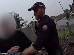 Um ladrão do momento que pulou de uma janela para escapar da polícia foi pego pela polícia após uma perseguição dramática