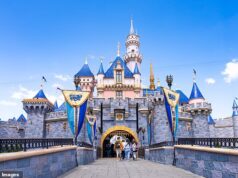 Quatro funcionários da Disneylândia foram levados às pressas para o hospital durante uma situação de risco no parque temático