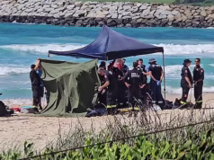 Os banhistas heróis tentaram desesperadamente salvar um casal britânico que morreu após nadar em apuros em uma praia australiana.