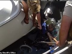 Momento horrível: homem tetraplégico bate na rampa para cadeira de rodas que conectava seu barco à doca e cai em águas profundas