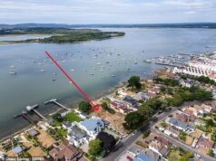 Localização, localização, localização! Terrenos vagos vão à venda por £ 2,5 milhões – por causa de onde estão localizados