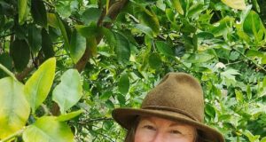 Avisos de emergência sobre fornecimento de alimentos que todo australiano deveria ler