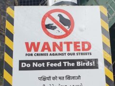 A placa ameaça quem alimentar os pássaros com cinco anos de prisão (o pior que pode conseguir é multa).